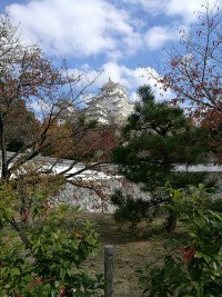 5 Image 5