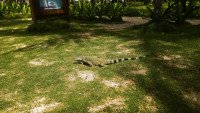11 Image 11