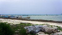 13 Image 13