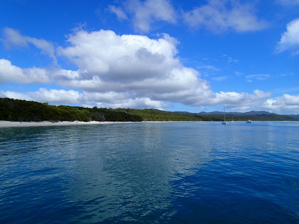 15 Image 15