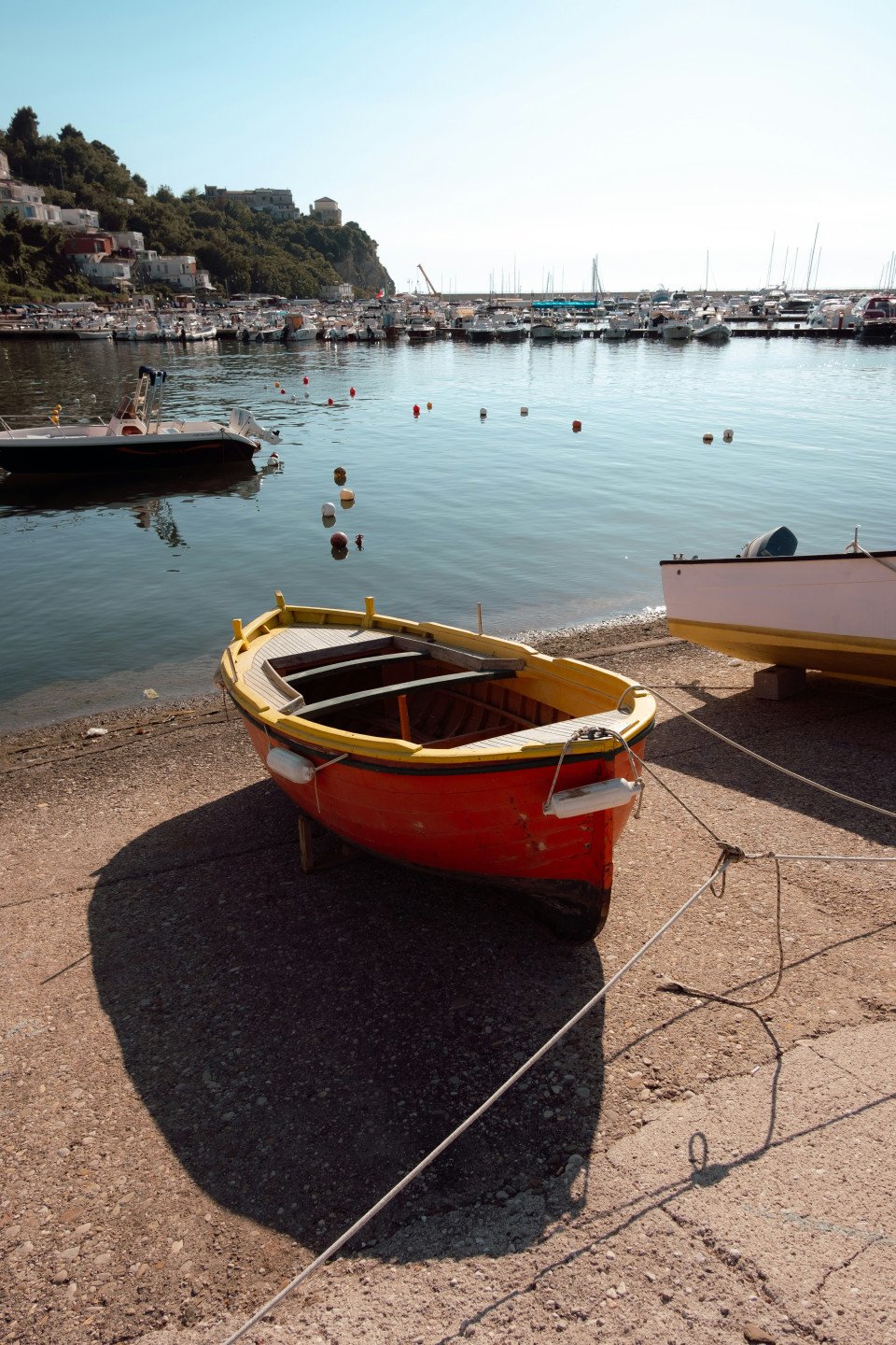 13 Image 13