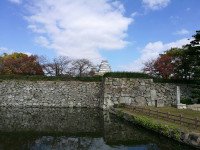 17 Image 17