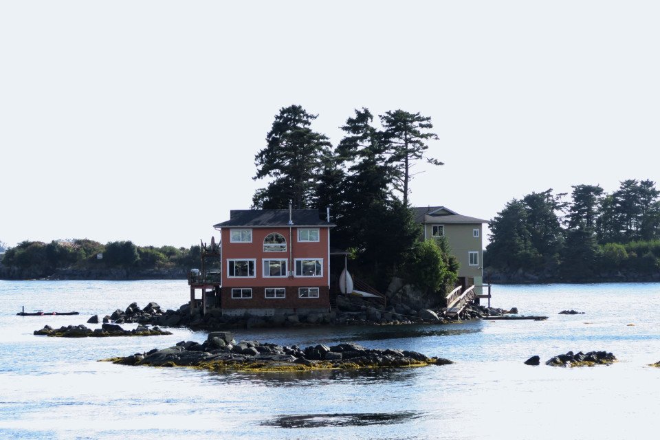 6 Image 6