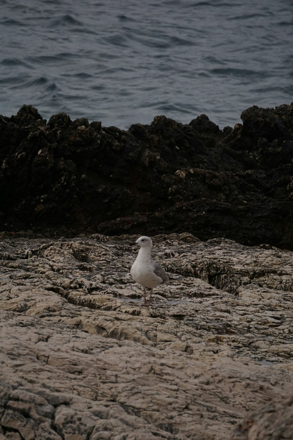 7 Image 7
