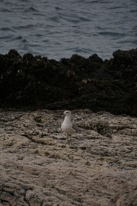 7 Image 7