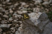 7 Image 7