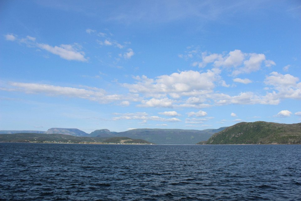 5 Image 5