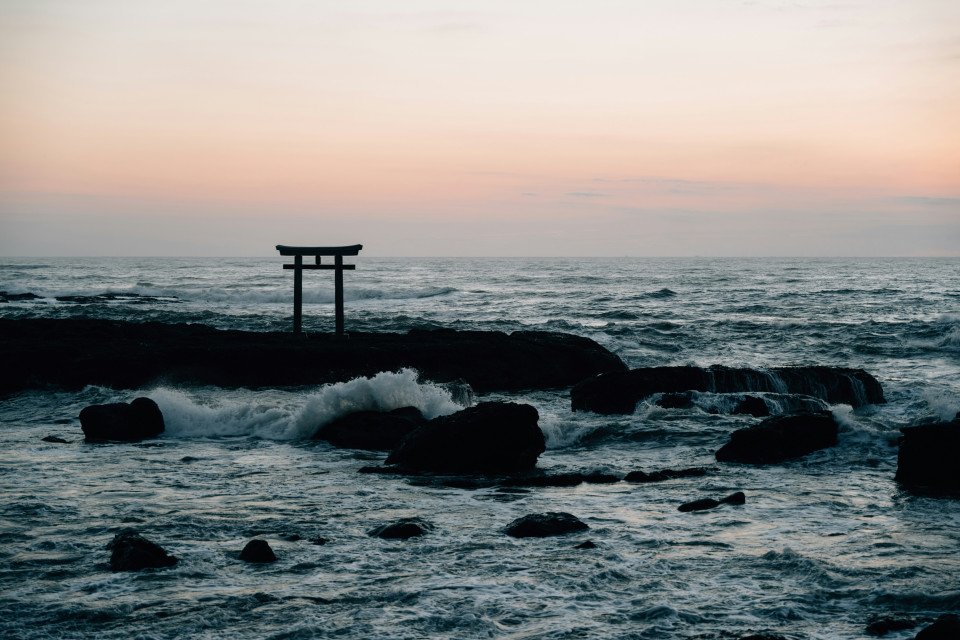 9 Image 9