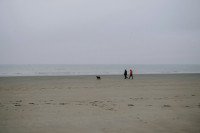 4 Image 4