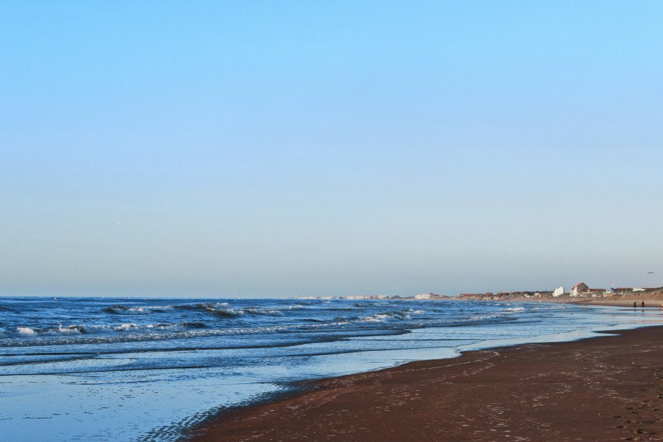 9 Image 9