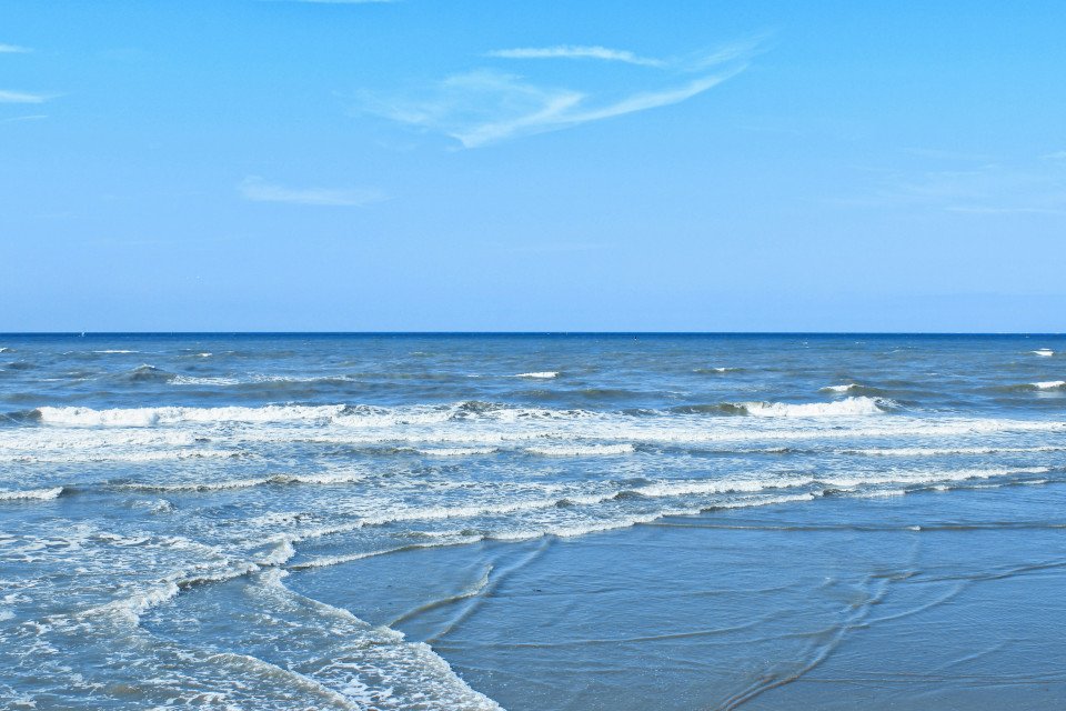 7 Image 7