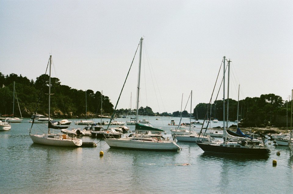 11 Image 11