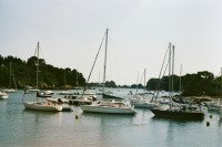 11 Image 11