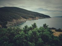 15 Image 15