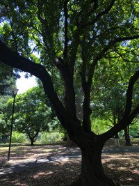 11 Image 11