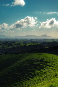 10 Image 10