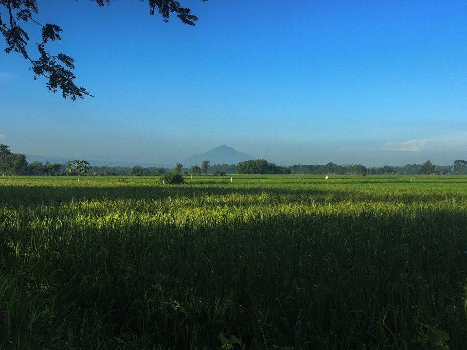 3 Image 3