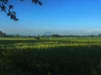 3 Image 3