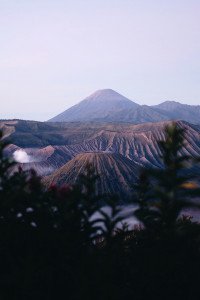 5 Image 5