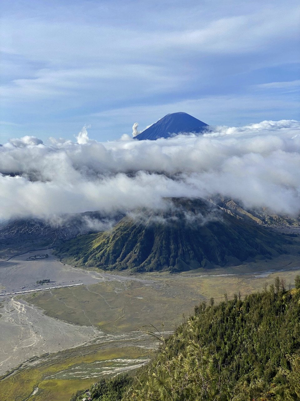 4 Image 4