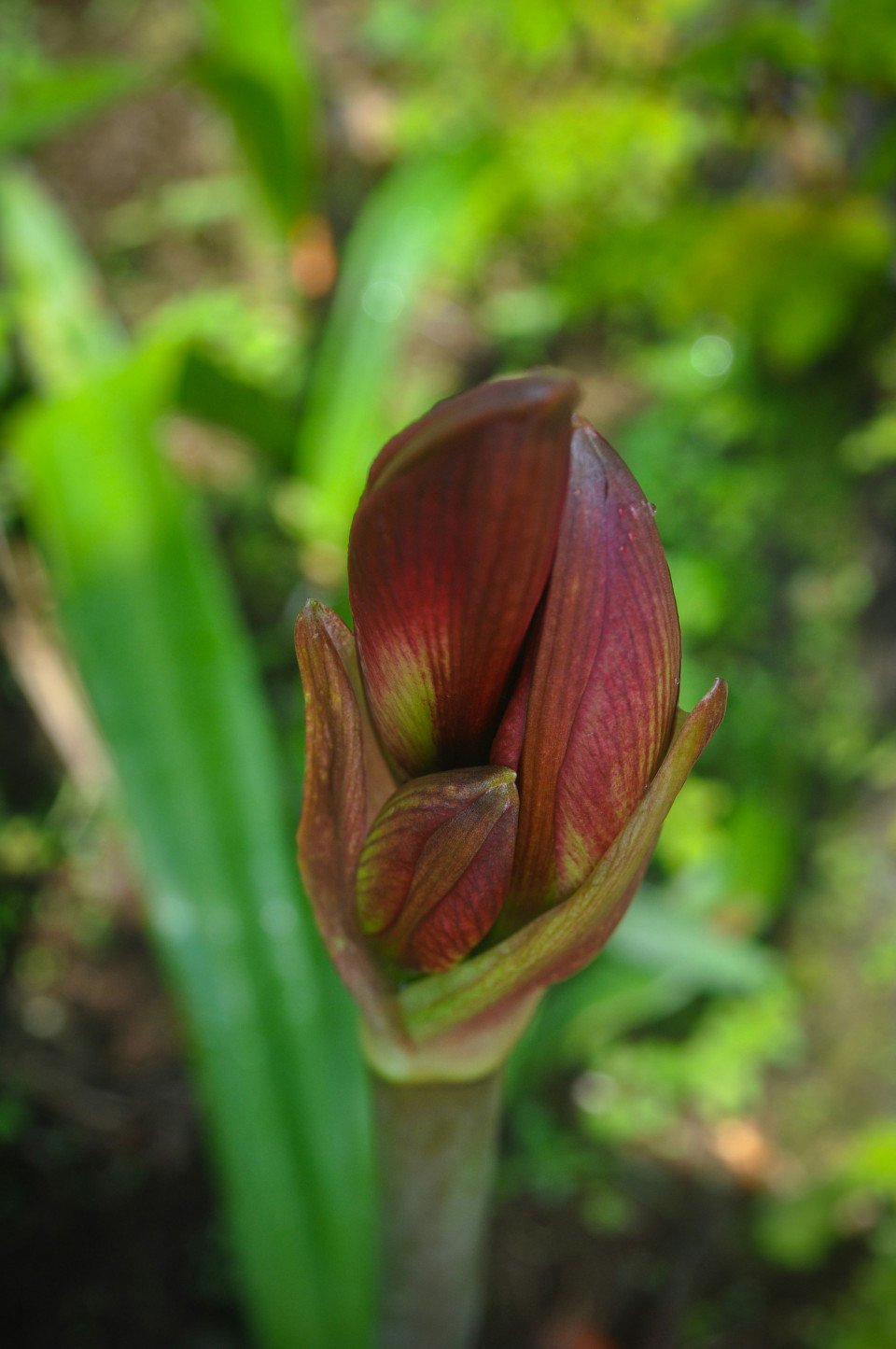 7 Image 7
