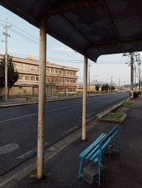 3 Image 3
