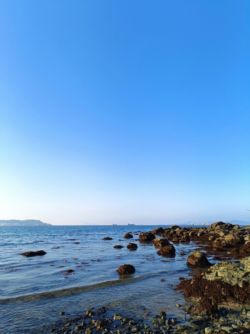 6 Image 6
