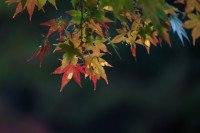 8 Image 8