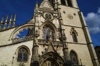 15 Image 15