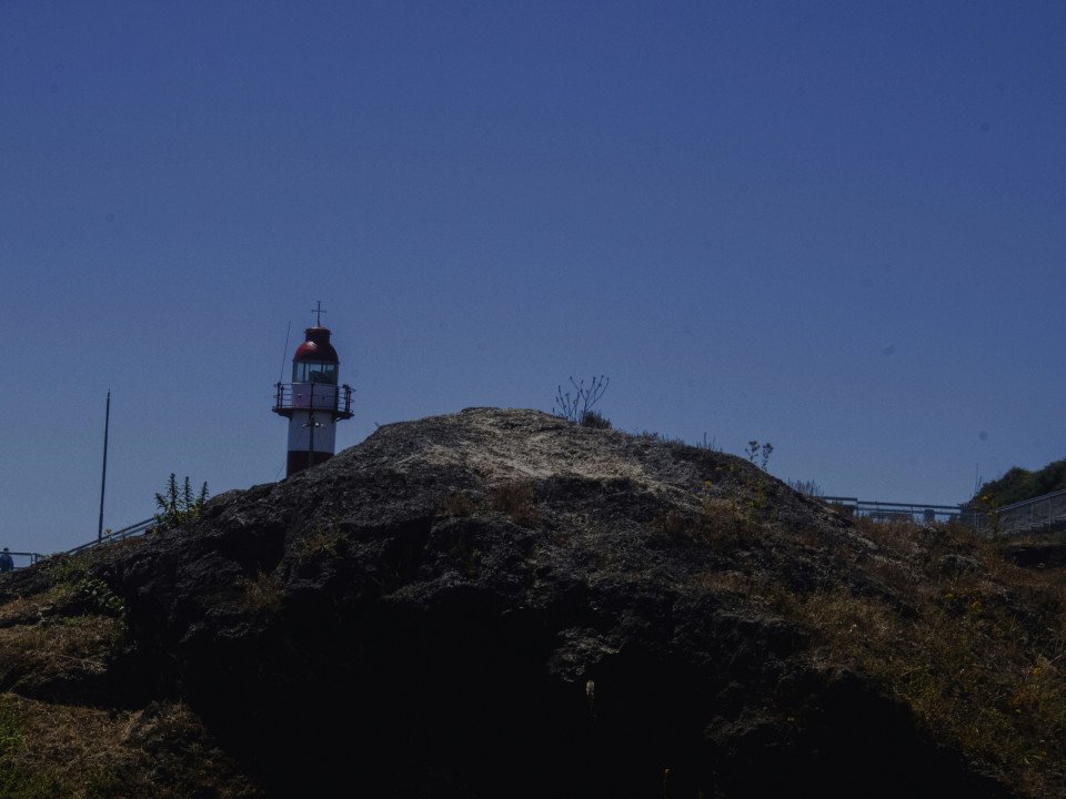 1 Image 1