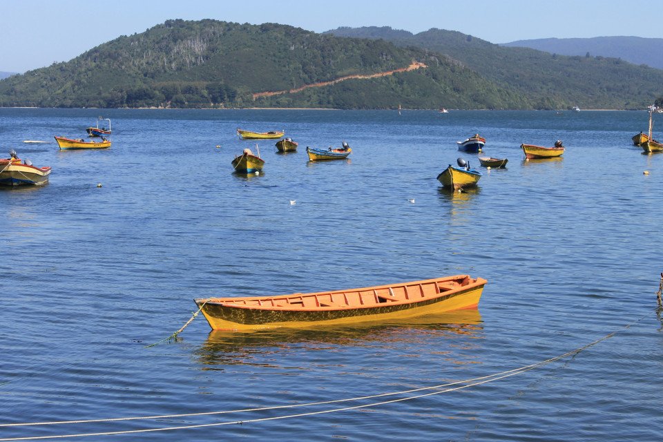 2 Image 2