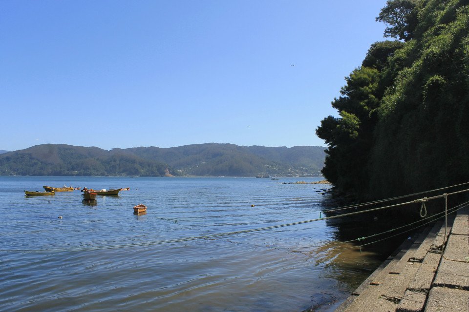 4 Image 4