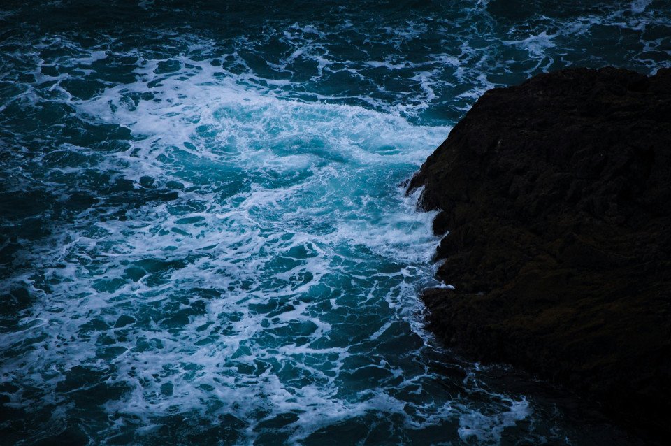 7 Image 7