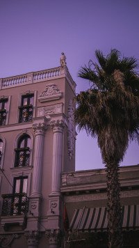 12 Image 12