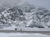 10 Image 10