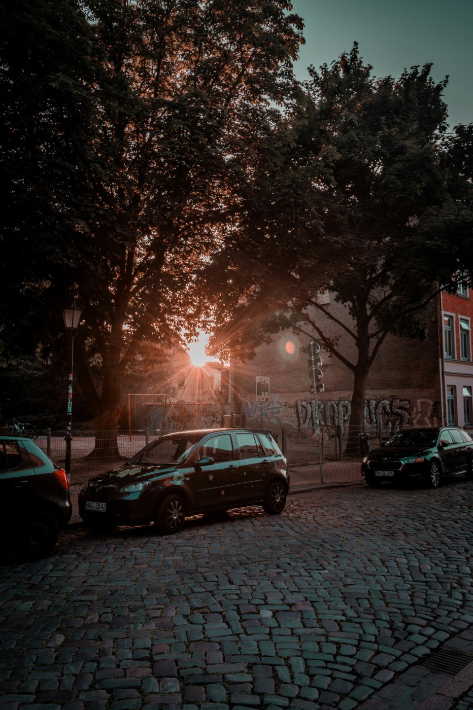 11 Image 11