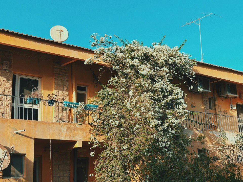 15 Image 15