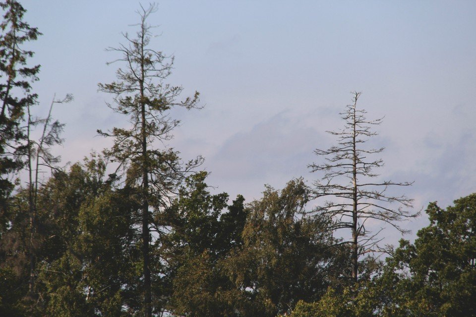 18 Image 18