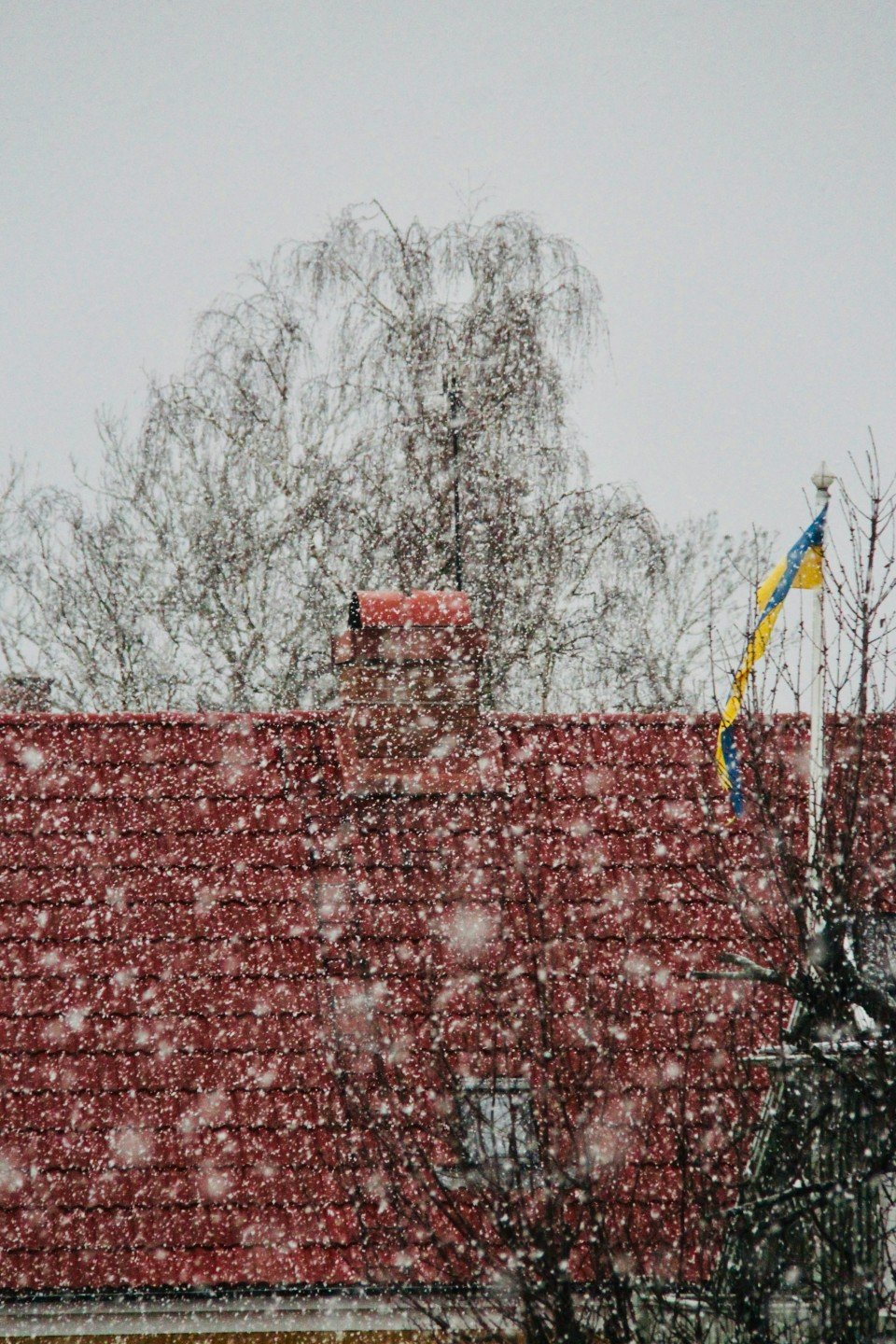 15 Image 15
