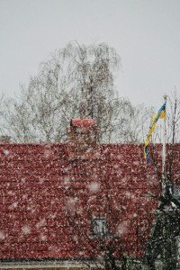 15 Image 15