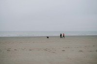 2 Image 2
