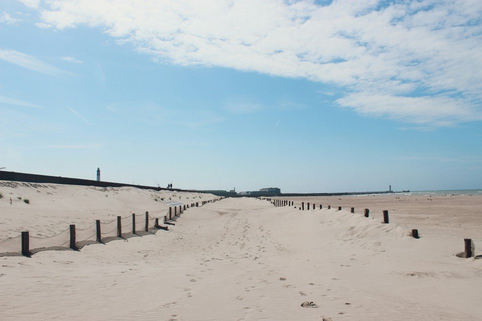 4 Image 4
