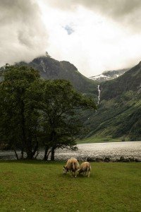 6 Image 6