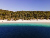 13 Image 13