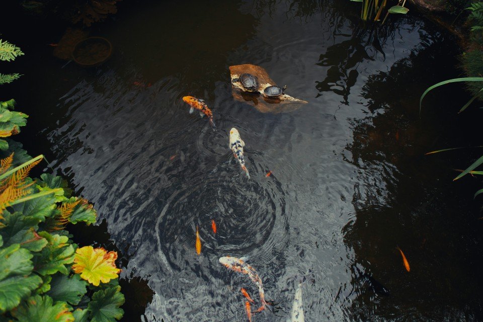 7 Image 7