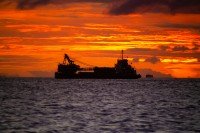 5 Image 5