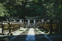 11 Image 11