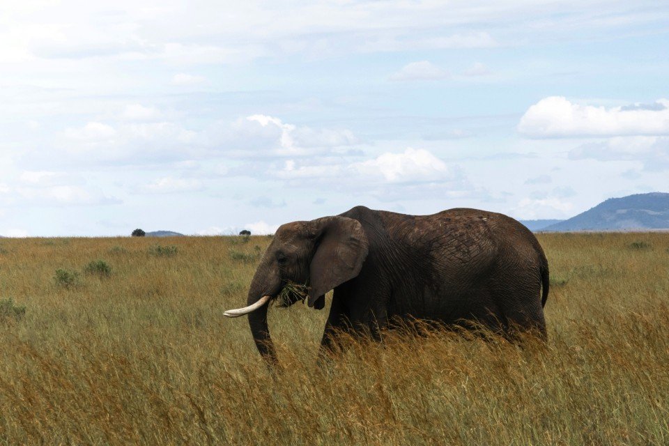Kenya