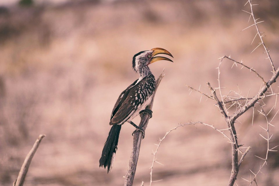 Namibia