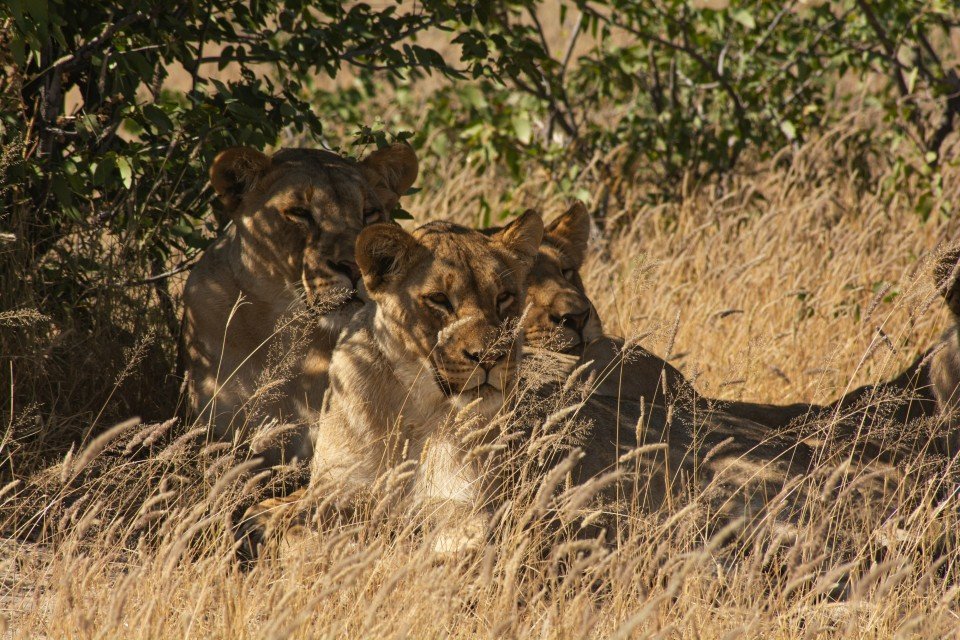 Namibia